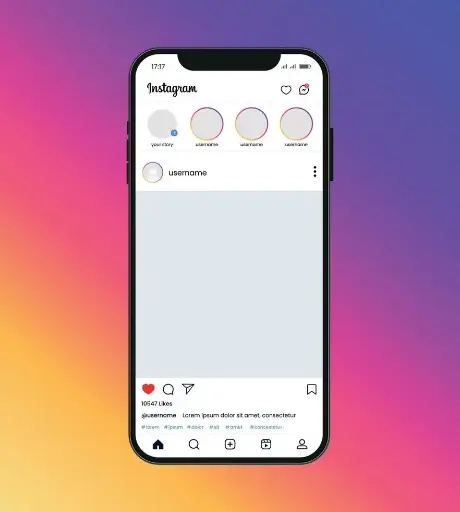Instagram Page Application – One-off Price