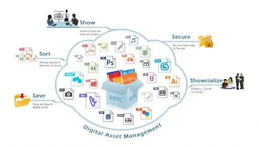 Digital Management